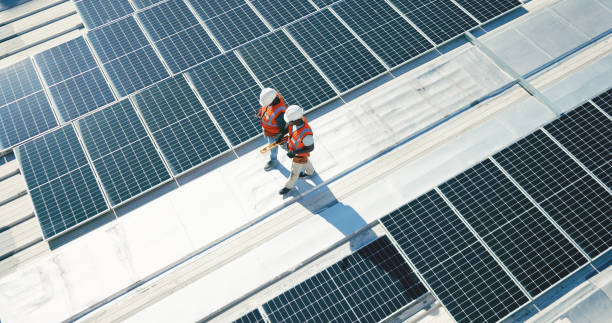Best Roof Coating and Sealing  in Roosevelt Park, MI