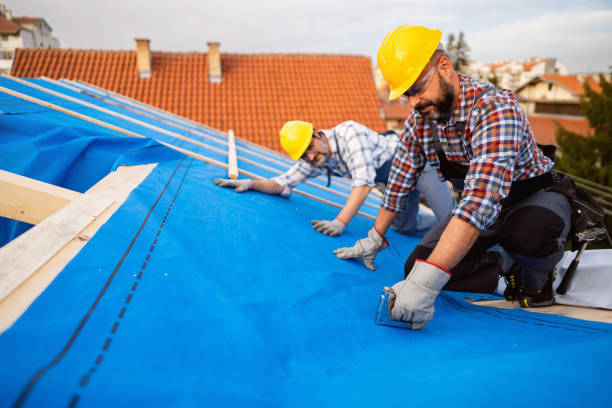 Best Roof Leak Repair  in Roosevelt Park, MI
